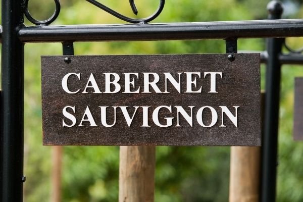 What Does Cabernet Sauvignon Taste Like? 10 Most Popular Descriptors