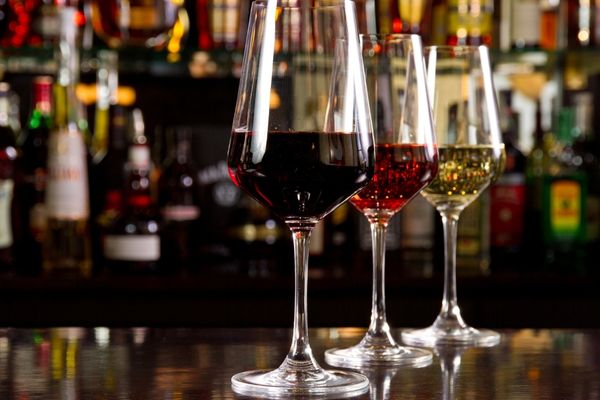 Wine Body: 5 Things No One Else Is Telling You